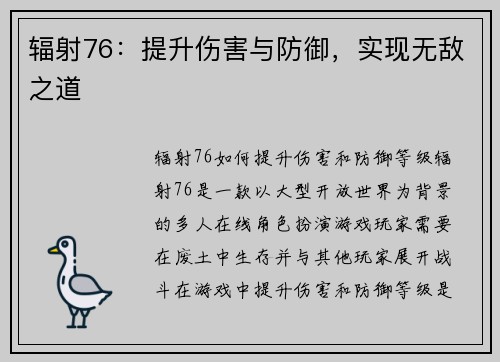 辐射76：提升伤害与防御，实现无敌之道